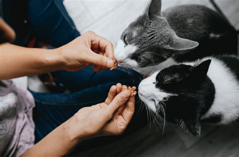 Private Label Power in Western Europe: - NIQ