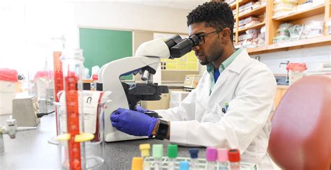 Image result for Medical Lab Science Programs