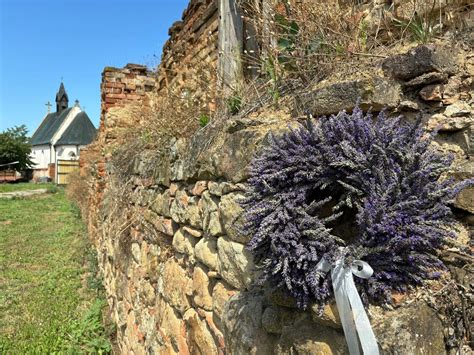 Workshop tvorby levandulového věnce - Levandulové pole Velehrad ...