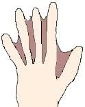 Image result for Keyframes Types CSS