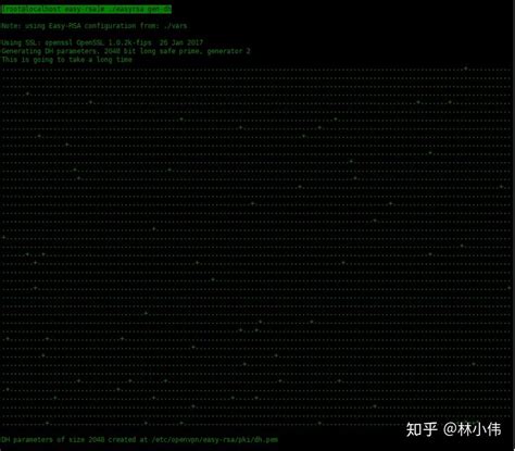 Easy-Rsa OpenVPN 的图像结果