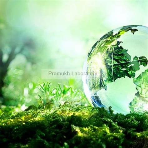 Cass Remote Testing 的图像结果