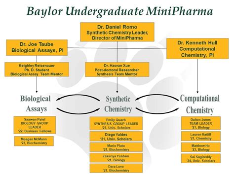 Image result for Management Structure and Mini Bio