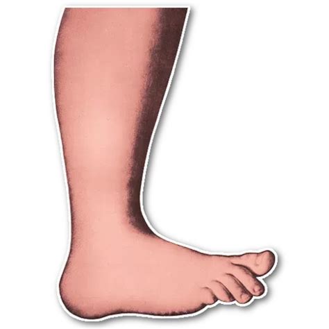 Image result for Monty Python Animation Stomping Feet