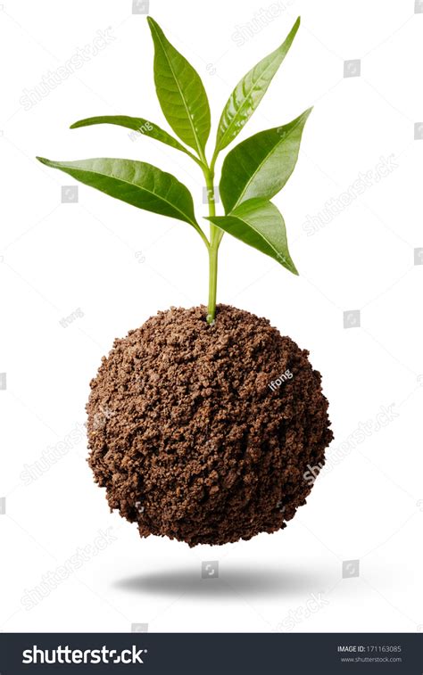 Image result for V-shape Soil Collection