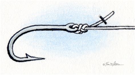 Image result for Knot Tying Tutorial Figure Eight