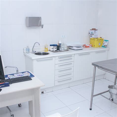 Hospital Veterinário 24 horas Piu Piu - Clínica Veterinária e Hospital ...