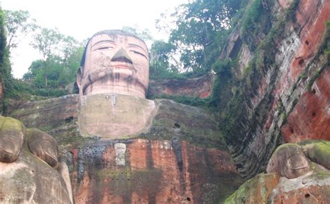 Giant Panda Base and Leshan Buddha Tour from Chengdu, China - Klook India