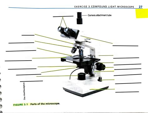 Image result for Introduction to Microscope Lab Answer Key