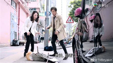TVB经典电视剧主题曲合集(最经典的港剧主题曲盘点) | 刀哥爱八卦