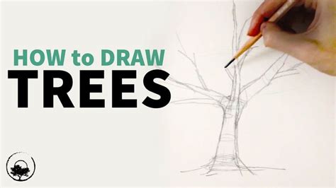 Image result for Scetching Lesson How to Draw a Tree