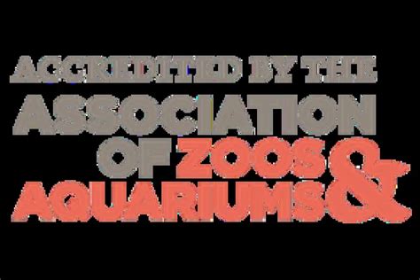 Image result for Format Decimal Python