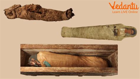 Mummification: Step-wise Guide to How Mummies Were Made