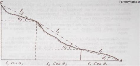 Ranging out Survey Lines in Forest Engineering - Forestry Coaching-IFoS ...