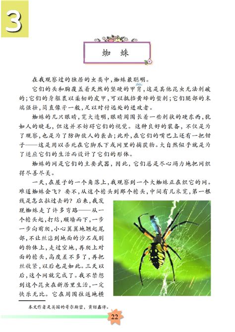 【华 生态讲堂】总第61期 | 陆千乐：最熟悉的陌生“人”——蜘蛛