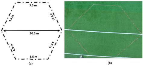 GazeGuide: An Eye-Gaze-Guided Active Immersive UAV Camera