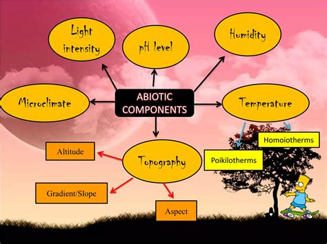 Image result for Abiotic Components Examples