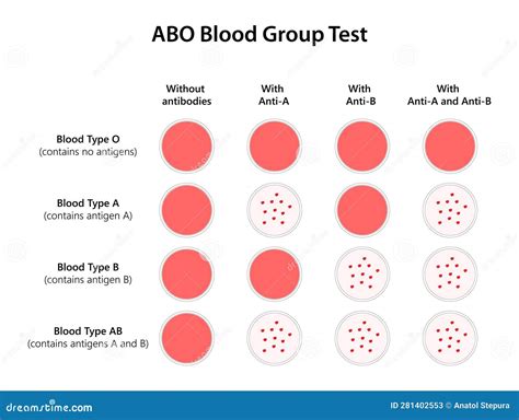 ABO Blood Group Test. Scientific Technology. Stock Vector ...