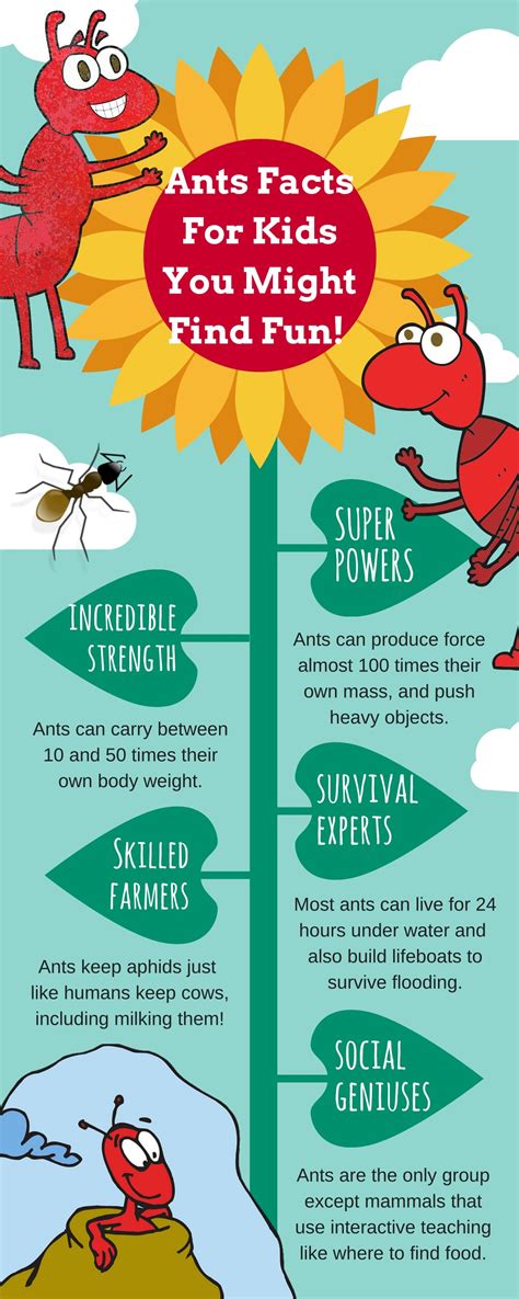PPT - Ant Facts Infographic For Kids PowerPoint Presentation, free ...