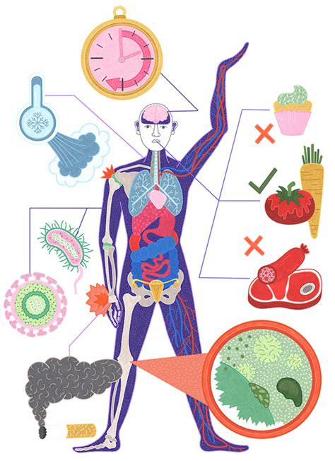 Imunidade Por Estação e Contexto
