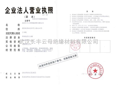 公司营业执照-武汉手艺人水电检测工程有限公司
