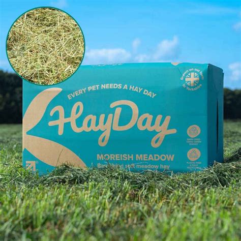 What is Hay: The Essential Guide to Grass, Bales, Feeding and Uses – HayDay HQ