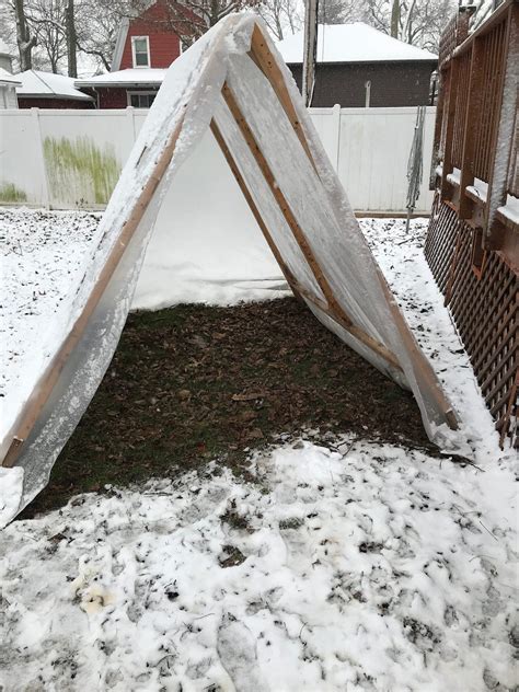 Winterize Backyard For Dogs - Dog Friendly Outdoor Area