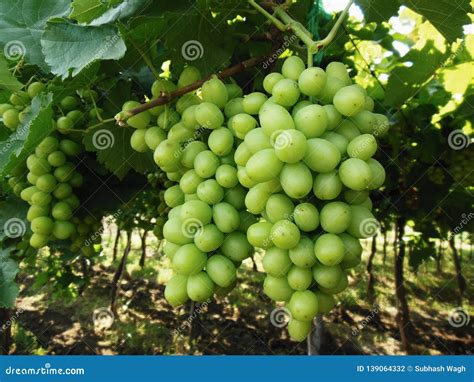 Image result for Figtext Matplotlib