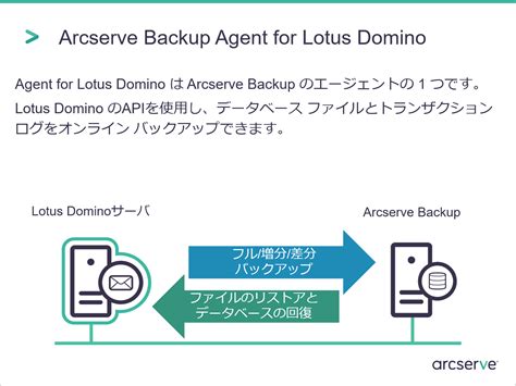 Arcserve Backup での Lotus Domino (Notes) データベースのオンライン バックアップ: それ ...