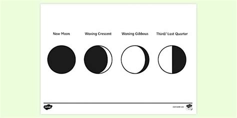 Phases of the Moon Answer Colouring | Colouring Sheets