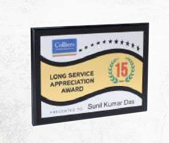 BNS 190 Wooden Trophies In Bangalore | Preview