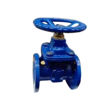 CS Gate Valve, 100mm, Flange Connection, High-Quality Industrial Valve ...