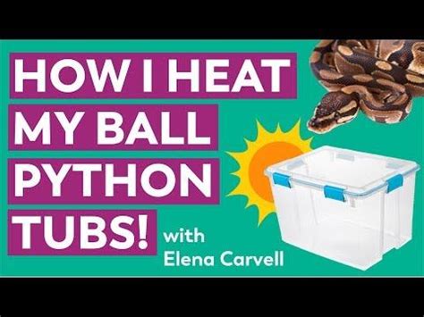 Image result for Ball Python Tubs