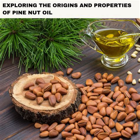 Discover the Skincare Wonders of Pine Nut Oil | Clinikally