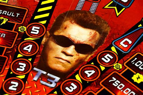 Image result for Terminater Pinball