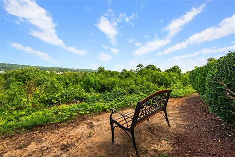 Legends at Oak Grove | Apartments in Knoxville Tennessee