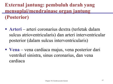 Sistem kardiovaskuler | PPTX