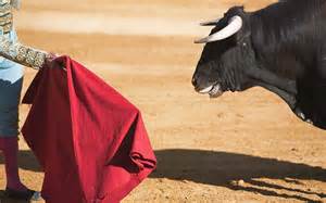 Does the Color Red Cause Bulls to Attack? - A-Z Animals