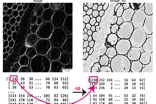 Image result for Python for Microscopists