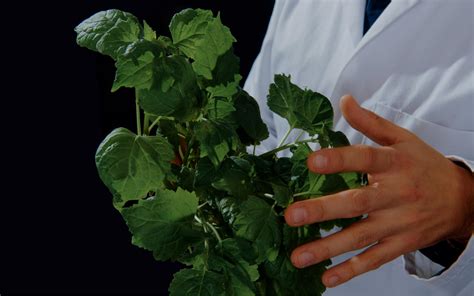 Image result for Interstellar Lab