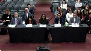 Renee Good shooting: Panel on DHS use of force holds 3 minutes, 26 ...