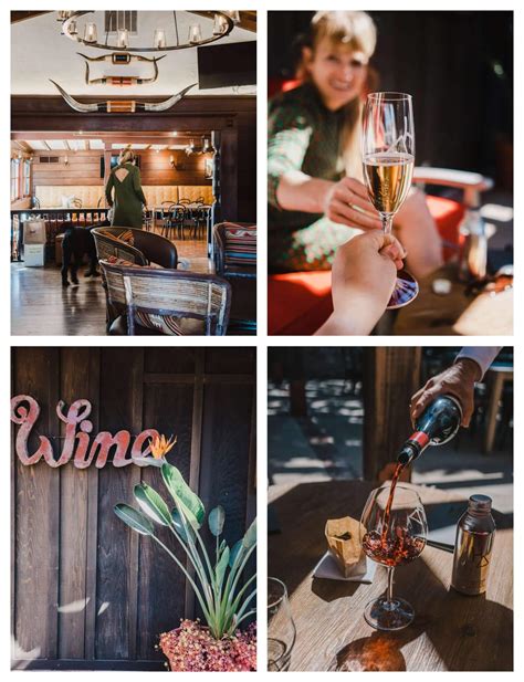 Carmel Valley wineries: best places to go wine tasting with dogs!