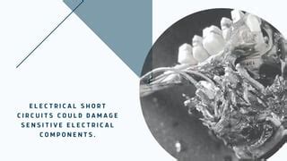 Image result for Mini Cooper Electrical Problems