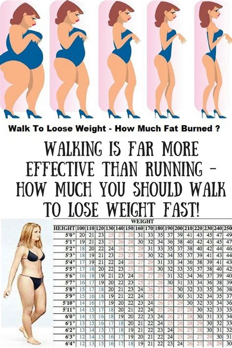 Walking Is Far More Effective Than Running – How Much You Should Walk ...