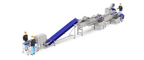 Image result for Processing Line