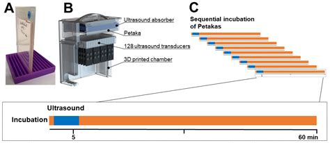 Ultrasound- and Microbubble-Assisted Gemcitabine Delivery to Pancreatic ...