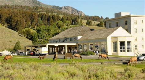 MAMMOTH HOT SPRINGS HOTEL & CABINS - Hotel Reviews, Photos, Rate ...