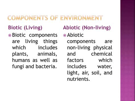 Basic Components of the Environment 的图像结果