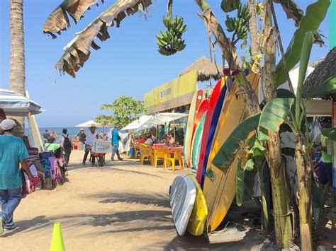 PATRICIA'S SURF SCHOOL (2025) All You Need to Know BEFORE You Go (with ...