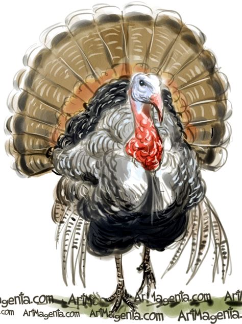 Turkey Bird Drawing at PaintingValley.com | Explore collection of ...